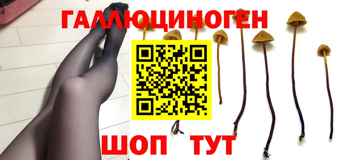 Галлюциногенные грибы прущие грибы  Вход с VPN  Псилоцибиновые грибы ЛСД  Королёв 